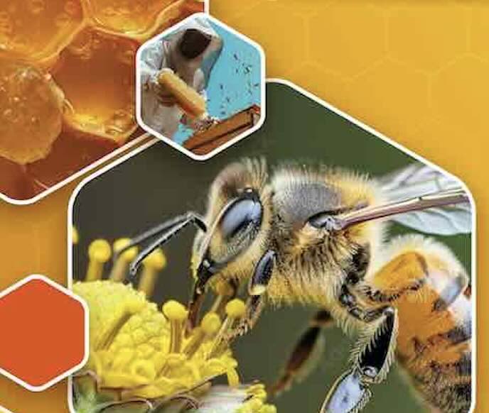 Capiculture: le miel en fête à Cap Excellence