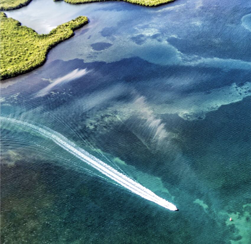 Constitution du comité de direction de l'OTI de Cap Excellence